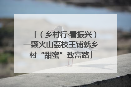 （乡村行·看振兴）一颗火山荔枝王铺就乡村“甜蜜”致富路