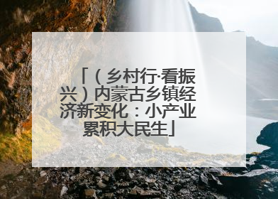 （乡村行·看振兴）内蒙古乡镇经济新变化：小产业累积大民生