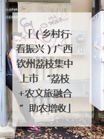 （乡村行·看振兴）广西钦州荔枝集中上市 “荔枝+农文旅融合”助农增收