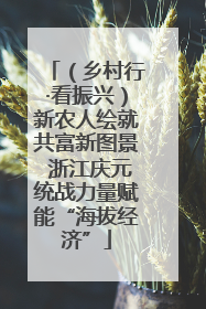 （乡村行·看振兴）新农人绘就共富新图景 浙江庆元统战力量赋能“海拔经济”