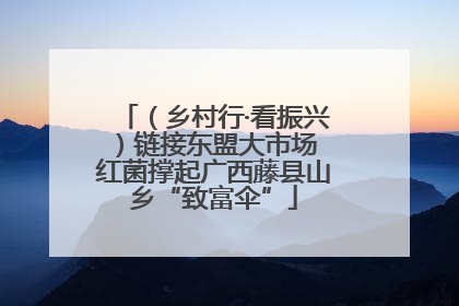 （乡村行·看振兴）链接东盟大市场 红菌撑起广西藤县山乡“致富伞”