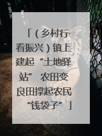 （乡村行·看振兴）镇上建起“土地驿站” 农田变良田撑起农民“钱袋子”