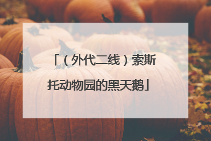 （外代二线）索斯托动物园的黑天鹅