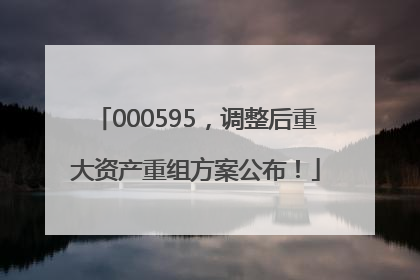 000595，调整后重大资产重组方案公布！