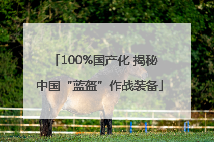100%国产化 揭秘中国“蓝盔”作战装备