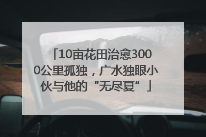 10亩花田治愈3000公里孤独，广水独眼小伙与他的“无尽夏”