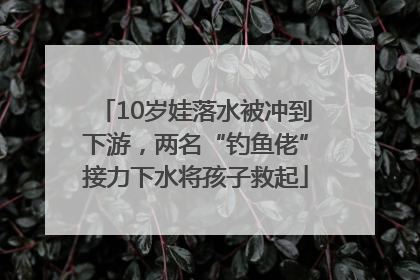 10岁娃落水被冲到下游，两名“钓鱼佬”接力下水将孩子救起