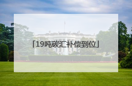 19吨碳汇补偿到位