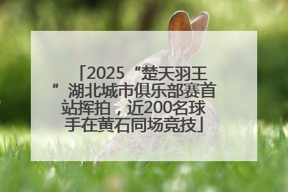 2025“楚天羽王”湖北城市俱乐部赛首站挥拍，近200名球手在黄石同场竞技