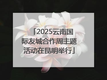 2025云南国际友城合作周主题活动在昆明举行