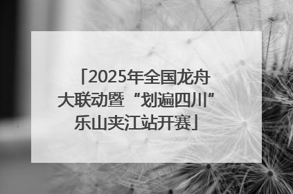 2025年全国龙舟大联动暨“划遍四川”乐山夹江站开赛