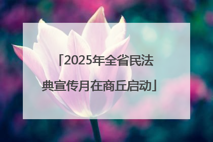 2025年全省民法典宣传月在商丘启动