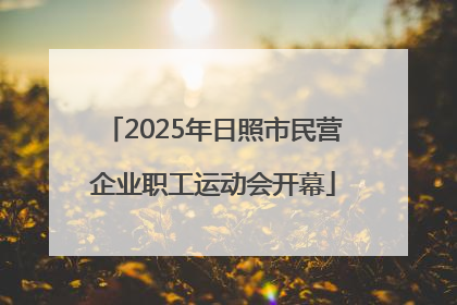 2025年日照市民营企业职工运动会开幕