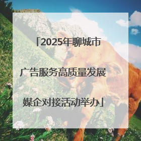 2025年聊城市广告服务高质量发展媒企对接活动举办