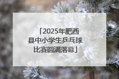 2025年肥西县中小学生乒乓球比赛圆满落幕