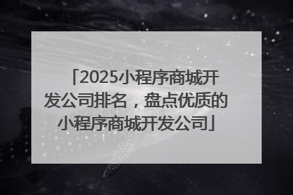 2025小程序商城开发公司排名，盘点优质的小程序商城开发公司