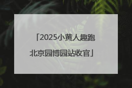 2025小黄人趣跑北京园博园站收官