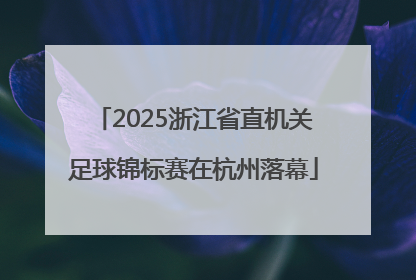 2025浙江省直机关足球锦标赛在杭州落幕