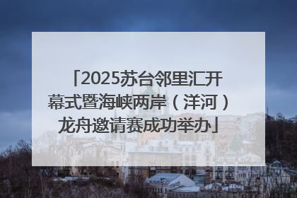 2025苏台邻里汇开幕式暨海峡两岸（洋河）龙舟邀请赛成功举办