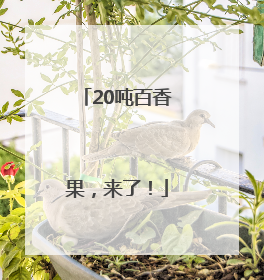 20吨百香果，来了！