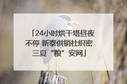 24小时烘干塔昼夜不停 新泰供销社织密三夏“粮”安网