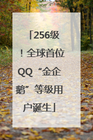 256级！全球首位QQ“金企鹅”等级用户诞生