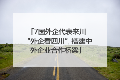 7国外企代表来川 “外企看四川”搭建中外企业合作桥梁