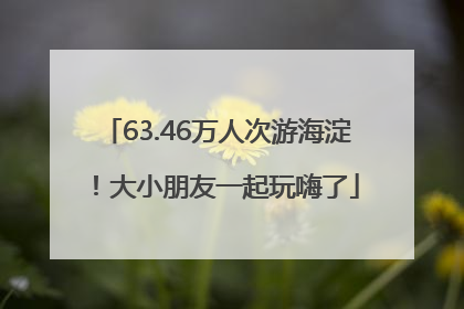 63.46万人次游海淀！大小朋友一起玩嗨了