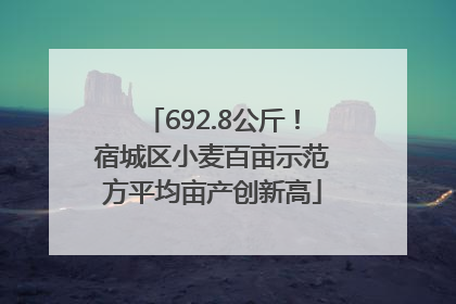 692.8公斤！宿城区小麦百亩示范方平均亩产创新高