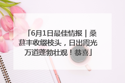 6月1日最佳情报｜桑葚丰收缀枝头，日出霞光万道蓬勃壮观！恭喜