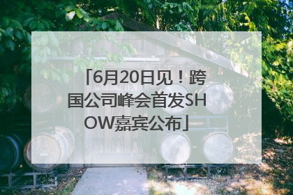 6月20日见！跨国公司峰会首发SHOW嘉宾公布
