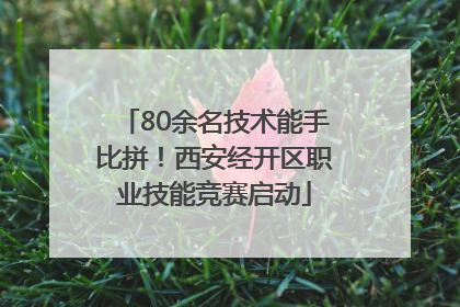 80余名技术能手比拼！西安经开区职业技能竞赛启动
