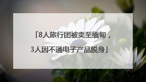 8人旅行团被卖至缅甸，3人因不通电子产品脱身