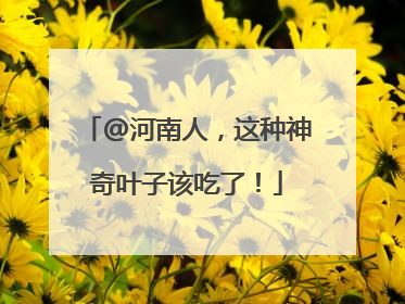 @河南人，这种神奇叶子该吃了！