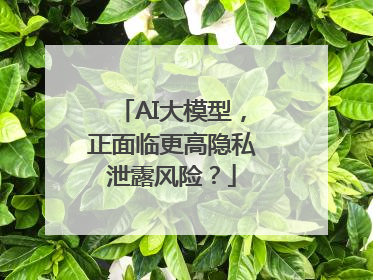 AI大模型，正面临更高隐私泄露风险？