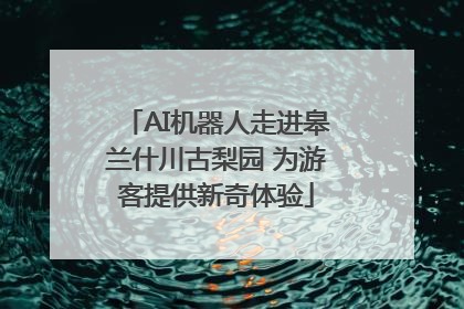 AI机器人走进皋兰什川古梨园 为游客提供新奇体验