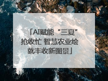 AI赋能“三夏”抢收忙 智慧农业绘就丰收新图景