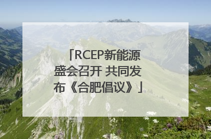 RCEP新能源盛会召开 共同发布《合肥倡议》